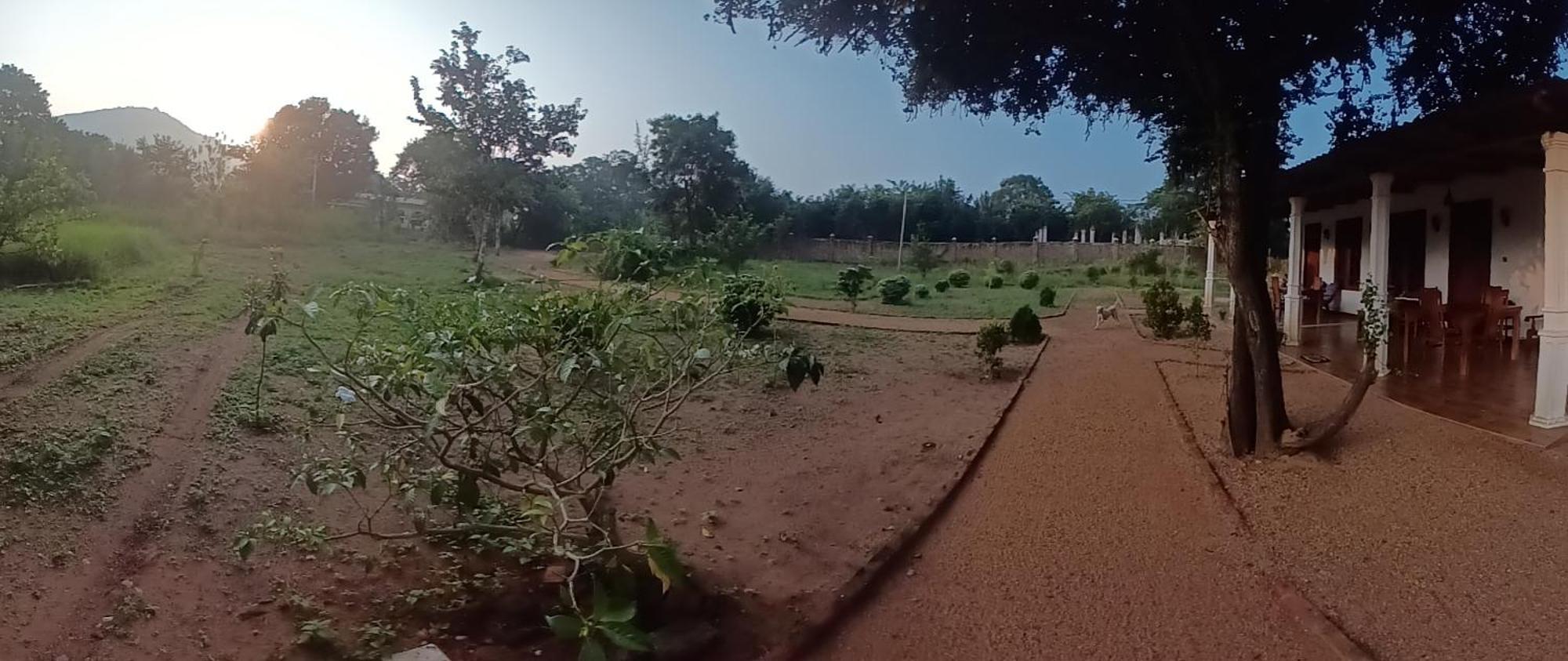 Sigiri Arana Sigiriya Hotel Buitenkant foto