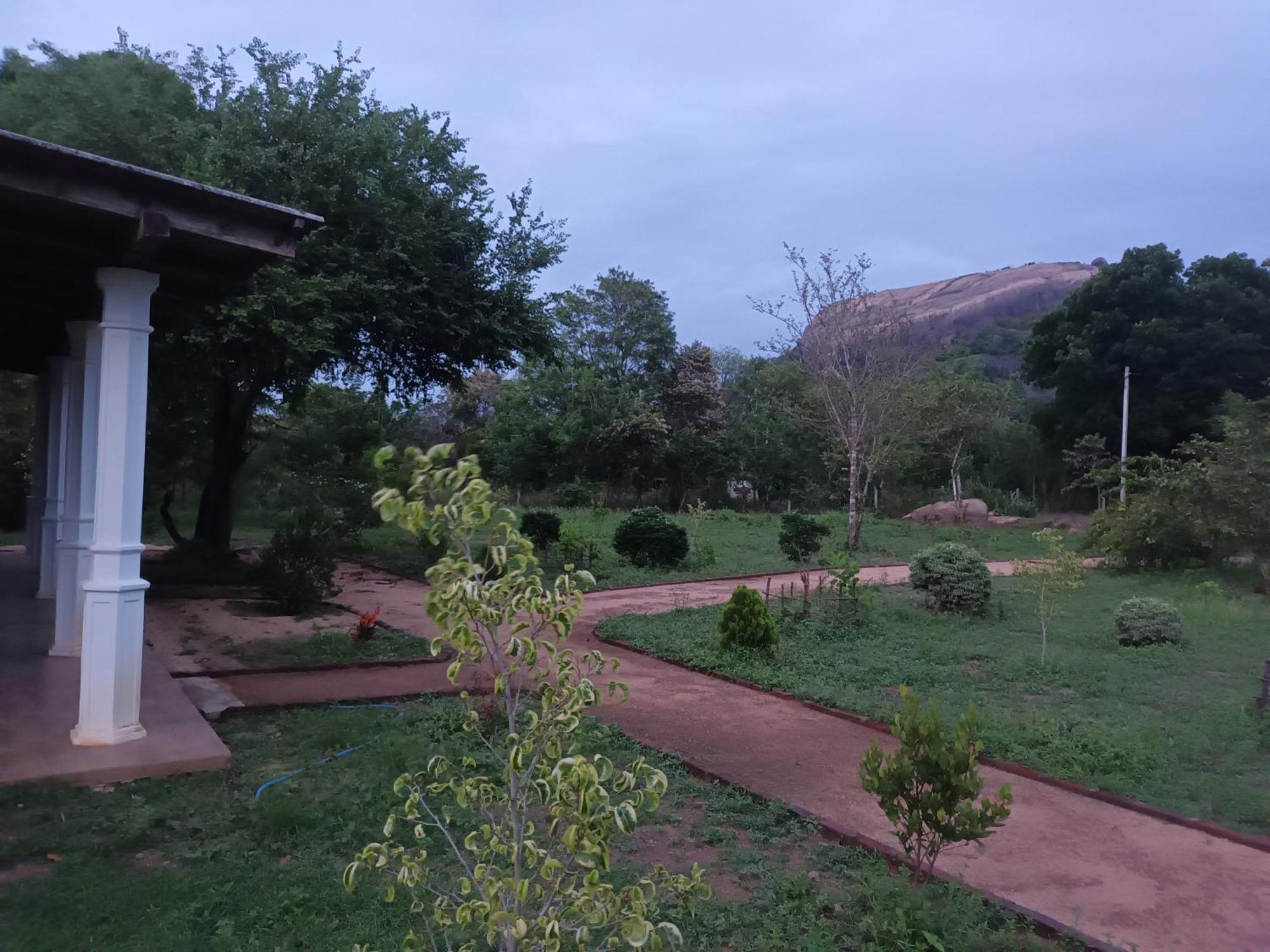 Sigiri Arana Sigiriya Hotel Buitenkant foto