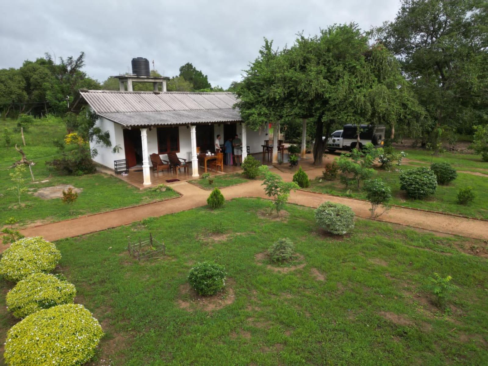 Sigiri Arana Sigiriya Hotel Buitenkant foto