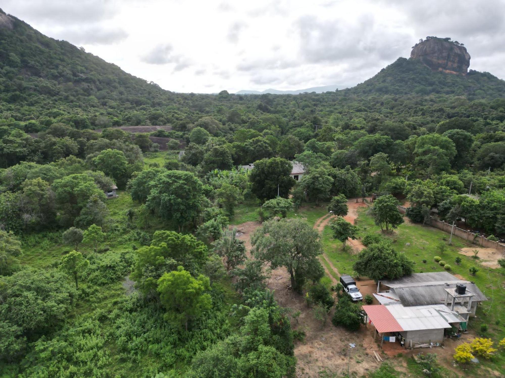 Sigiri Arana Sigiriya Hotel Buitenkant foto