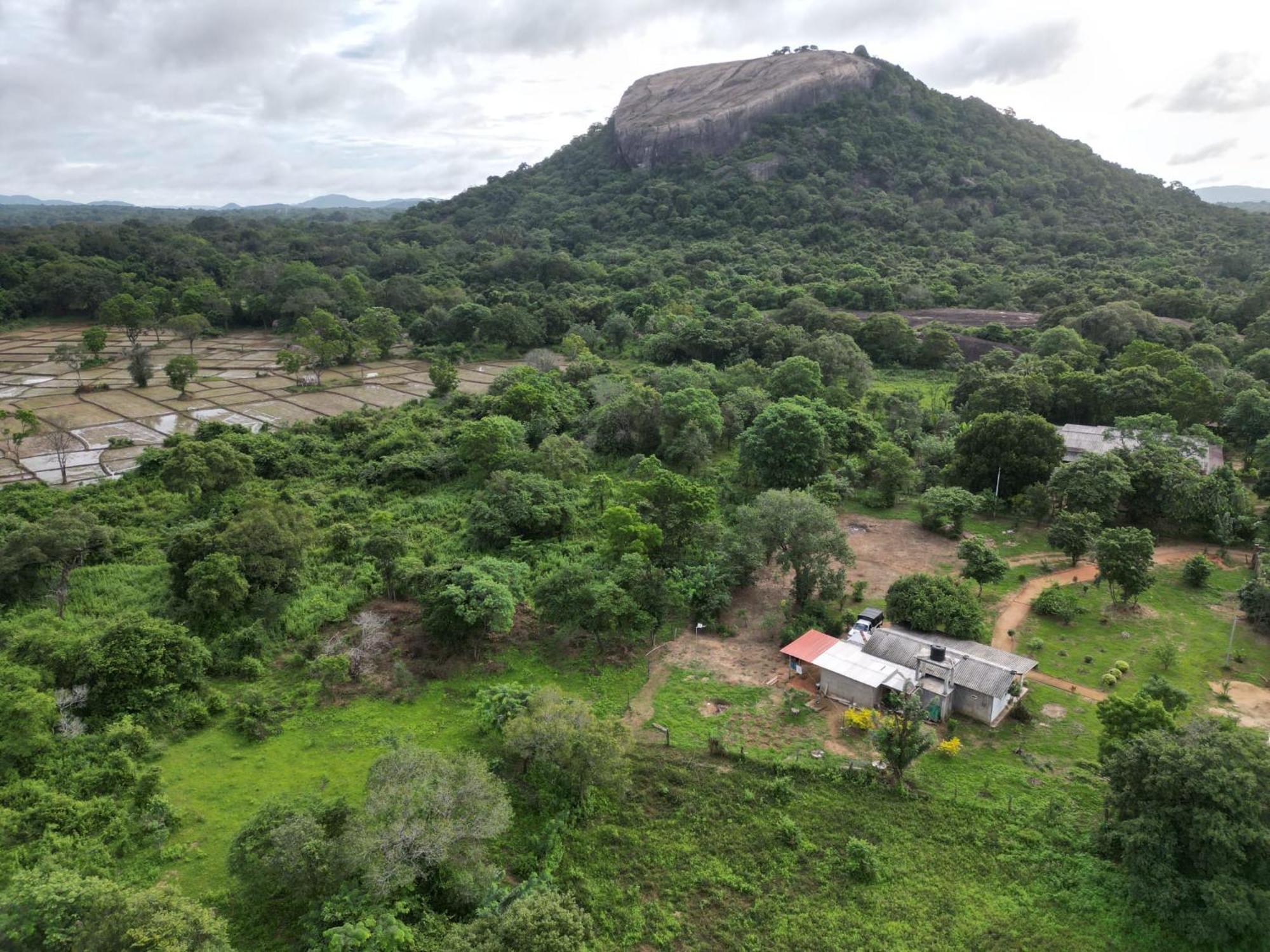 Sigiri Arana Sigiriya Hotel Buitenkant foto