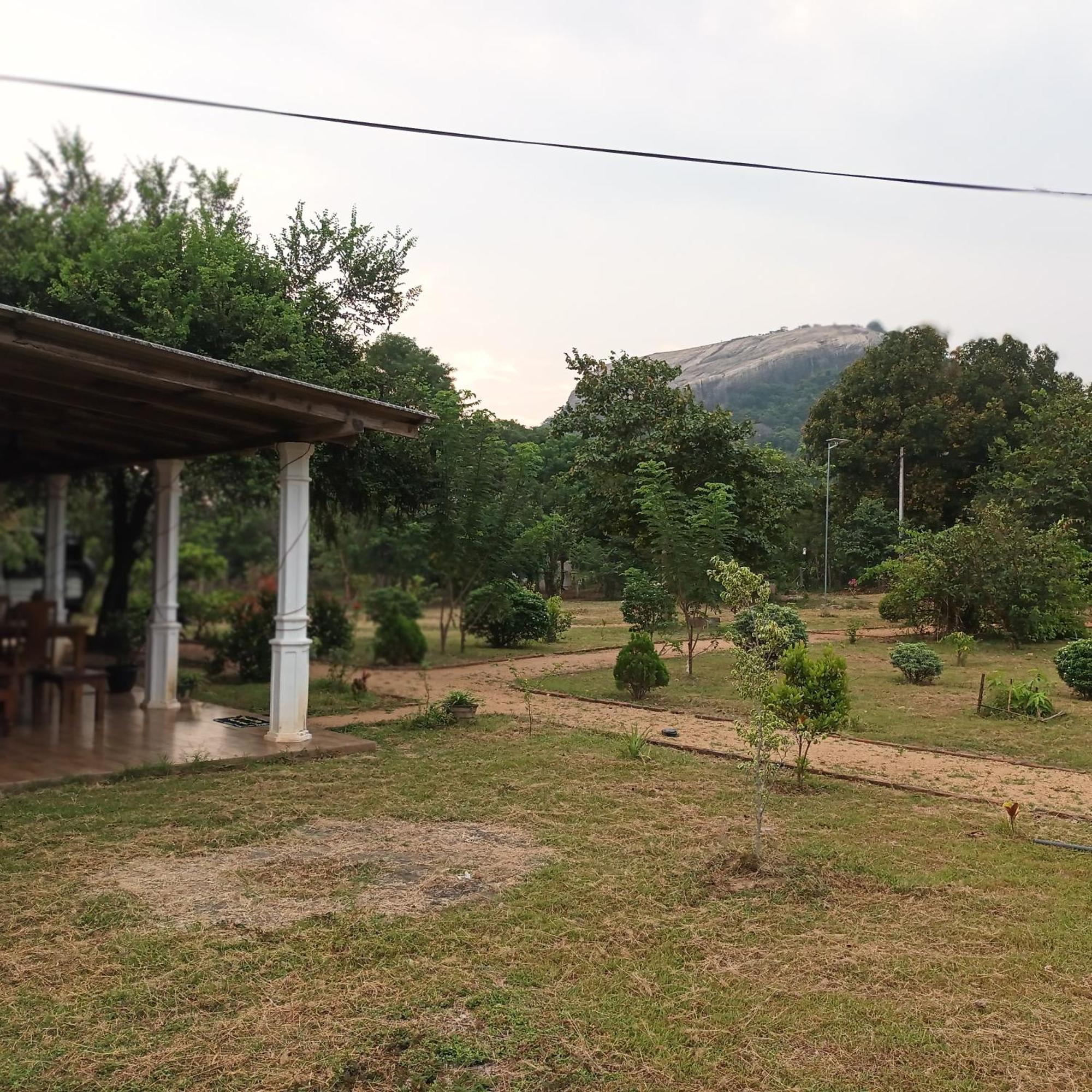 Sigiri Arana Sigiriya Hotel Buitenkant foto